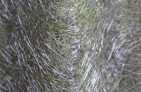 Larkfield fibreglass roof work